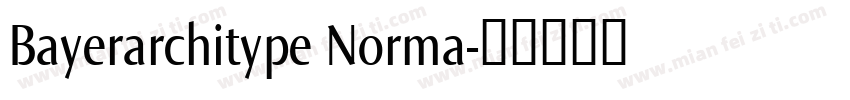 Bayerarchitype Norma字体转换